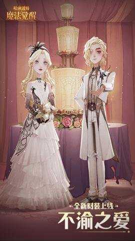 哈利波特魔法觉醒网易版