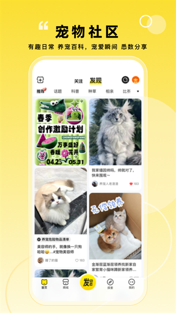 宠胖胖2026最新版