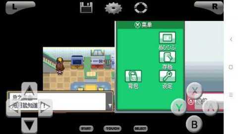 口袋妖怪魂银中文版nds下载