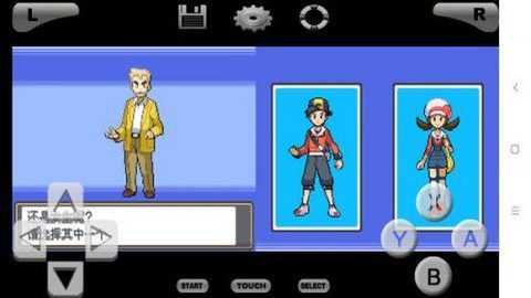 口袋妖怪魂银中文版nds下载