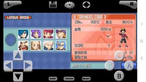 口袋妖怪魂银中文版nds下载