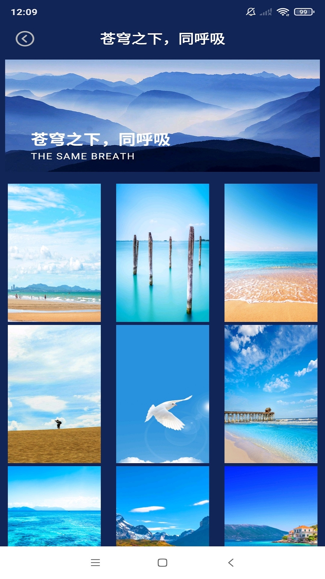 动态壁纸秀场下载手机版