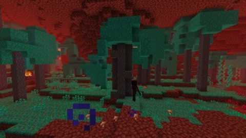 我的世界1.17.10.04国际版