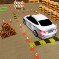 司机停车模拟器