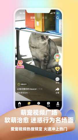 皮克方下载