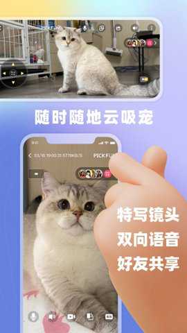 皮克方下载