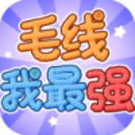 毛线我最强