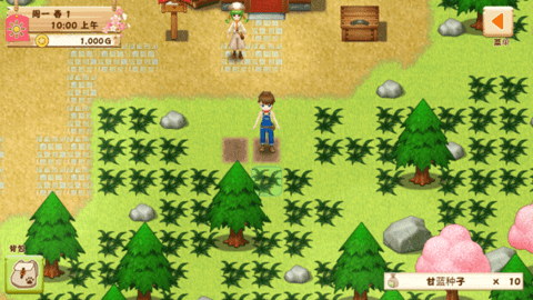 牧场物语希望之光下载