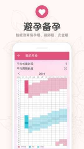 掌中投下载