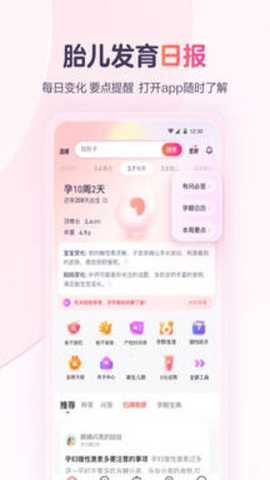 宝宝树孕育爸爸版