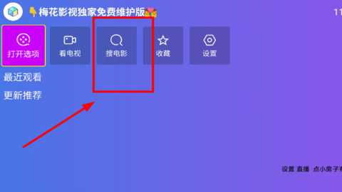 梅花影视电视版下载