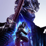 忍者龙剑传4下载