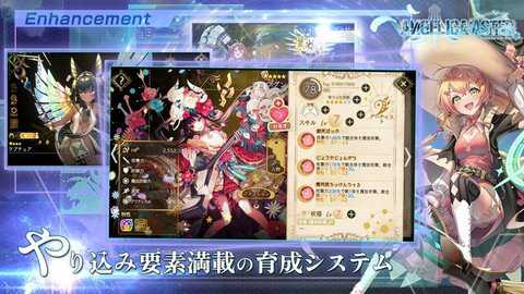 ANGELICA ASTER日服下载