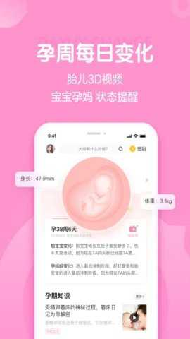 妈妈网孕育备孕下载