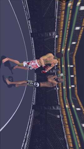 拳击真实模拟3D下载