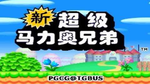 新超级马里奥兄弟nds改版