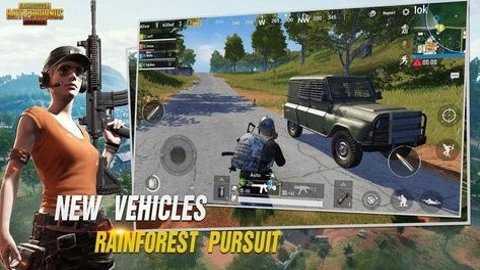 PUBG群星通用框架