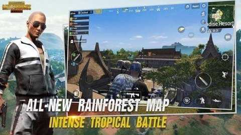 PUBG群星通用框架