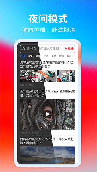 飞觅浏览器手机版