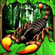 蝎子争霸赛下载