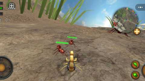 蝎子争霸赛下载