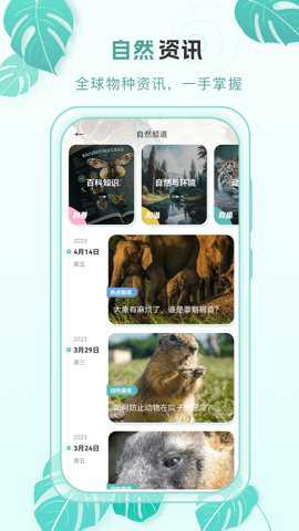 百科物语下载