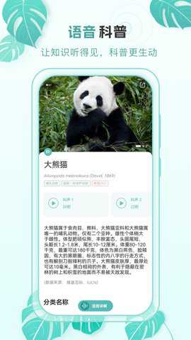 百科物语下载