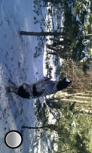 快速连拍相机手机版