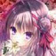 真爱的百合赤染下载