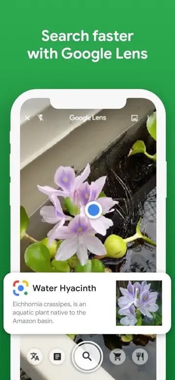 Google移动搜索app