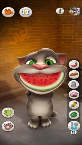 会说话的汤姆猫百度版