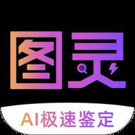 图灵鉴定