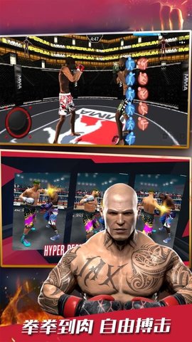格斗冠军杯下载