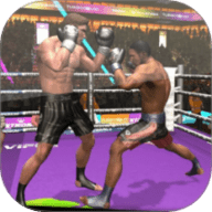 格斗冠军杯下载