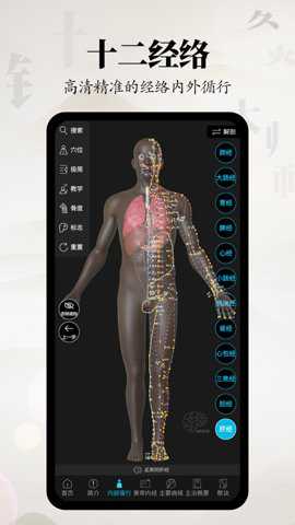针灸大师下载