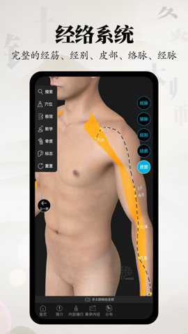 针灸大师下载